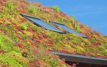 Batchworth Heath living roof systems