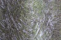 Batchworth Heath fibreglass roof work